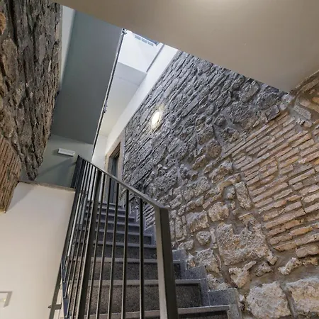 Basco Viterbo